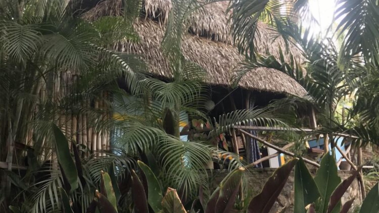 Photo of Outdoor in Yelapa