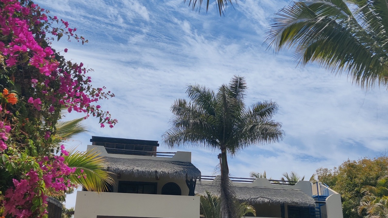Photo of Outdoor in El Pescadero