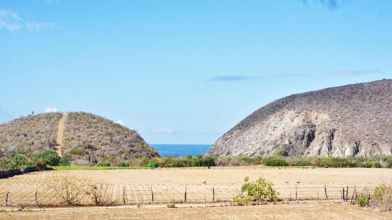 Photo of Others in El Pescadero