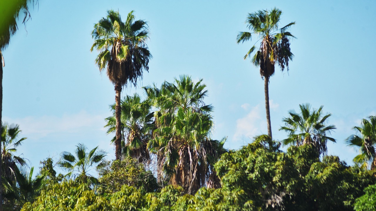 Photo of Outdoor in El Pescadero