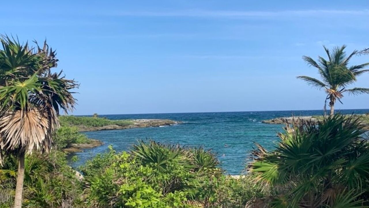 Photo of Others in Tankah