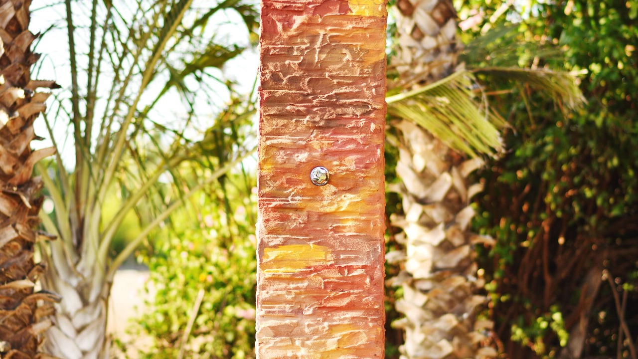 Photo of Outdoor in El Pescadero
