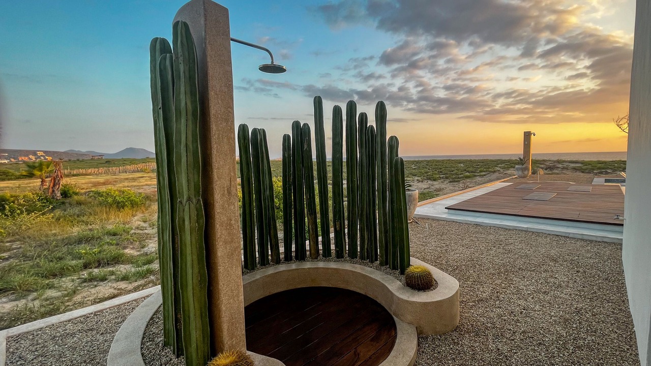 Photo of Others in Todos Santos