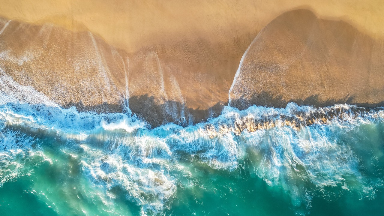 Photo of Others in Todos Santos
