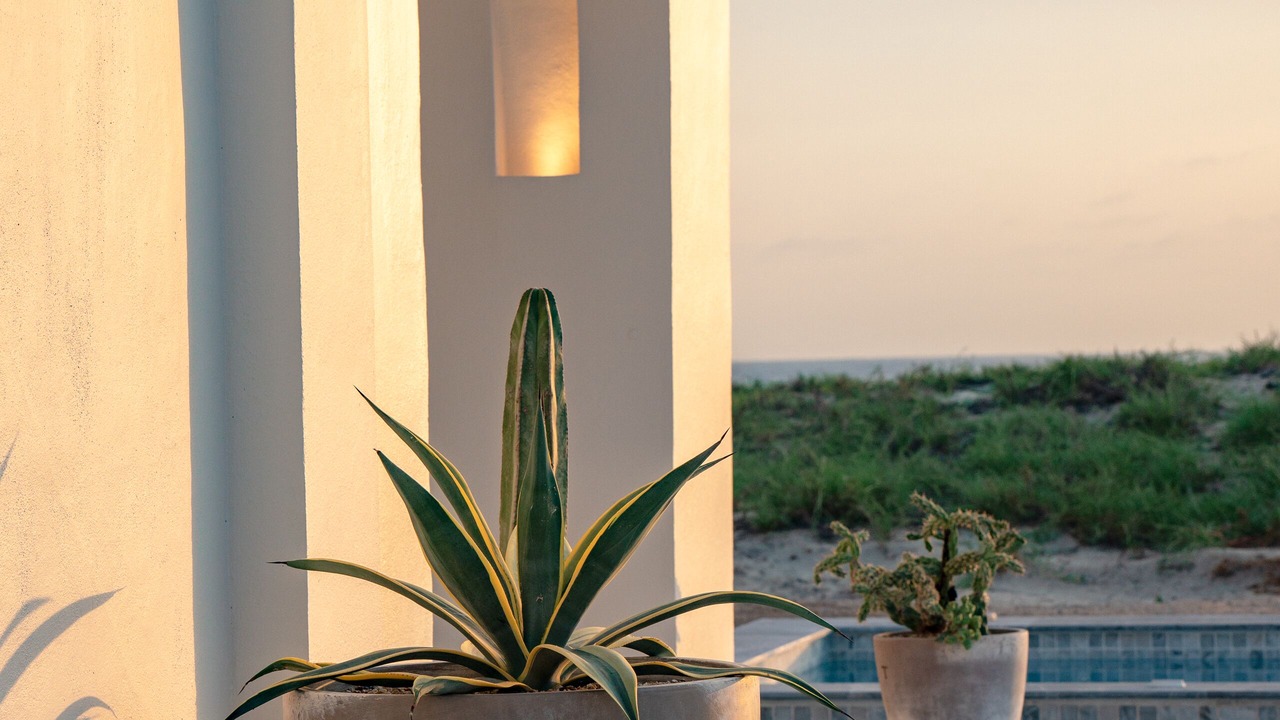 Photo of Others in Todos Santos