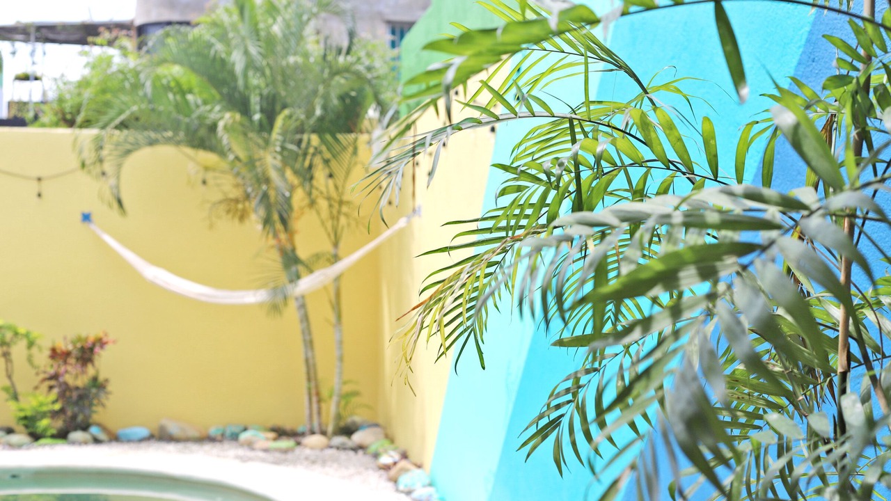 Photo of Outdoor in Rinconada