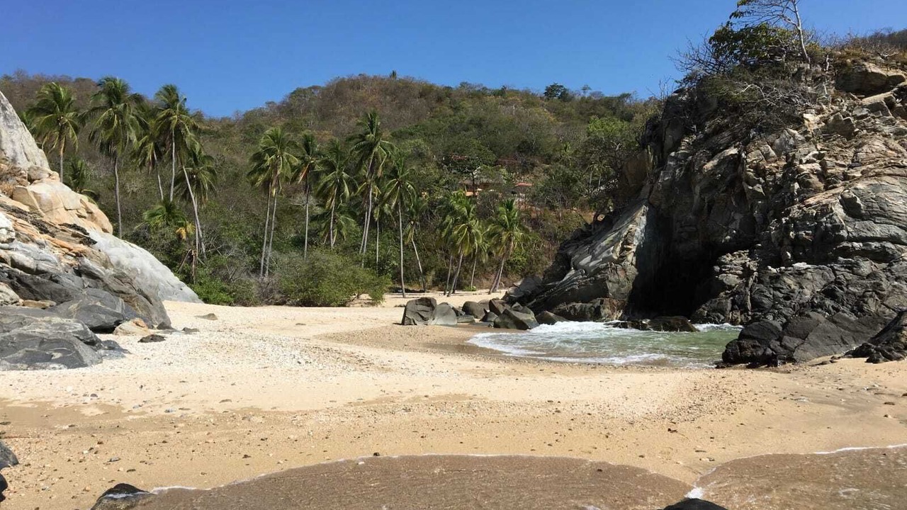 Photo of Others in Puerto Angel
