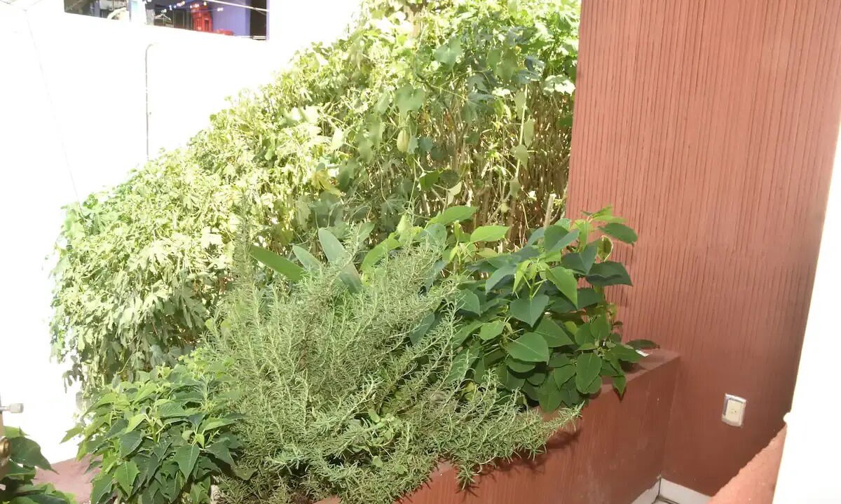 Photo of Outdoor in Morelia