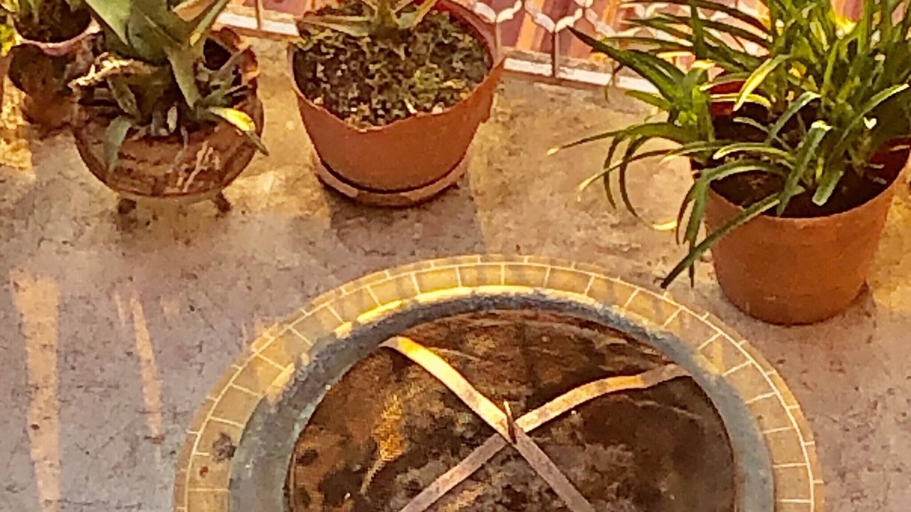 Photo of Outdoor in De Guadalupe