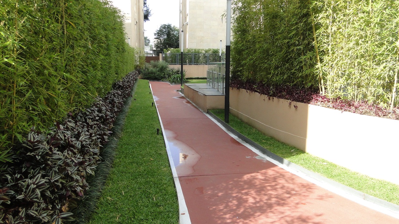 Photo of Outdoor in Villa Coapa