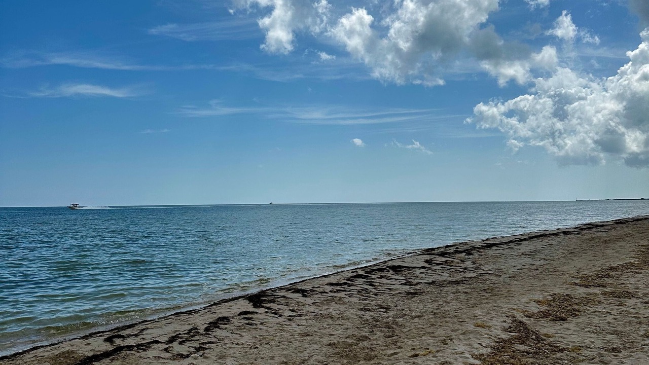 Photo of Others in Miramar