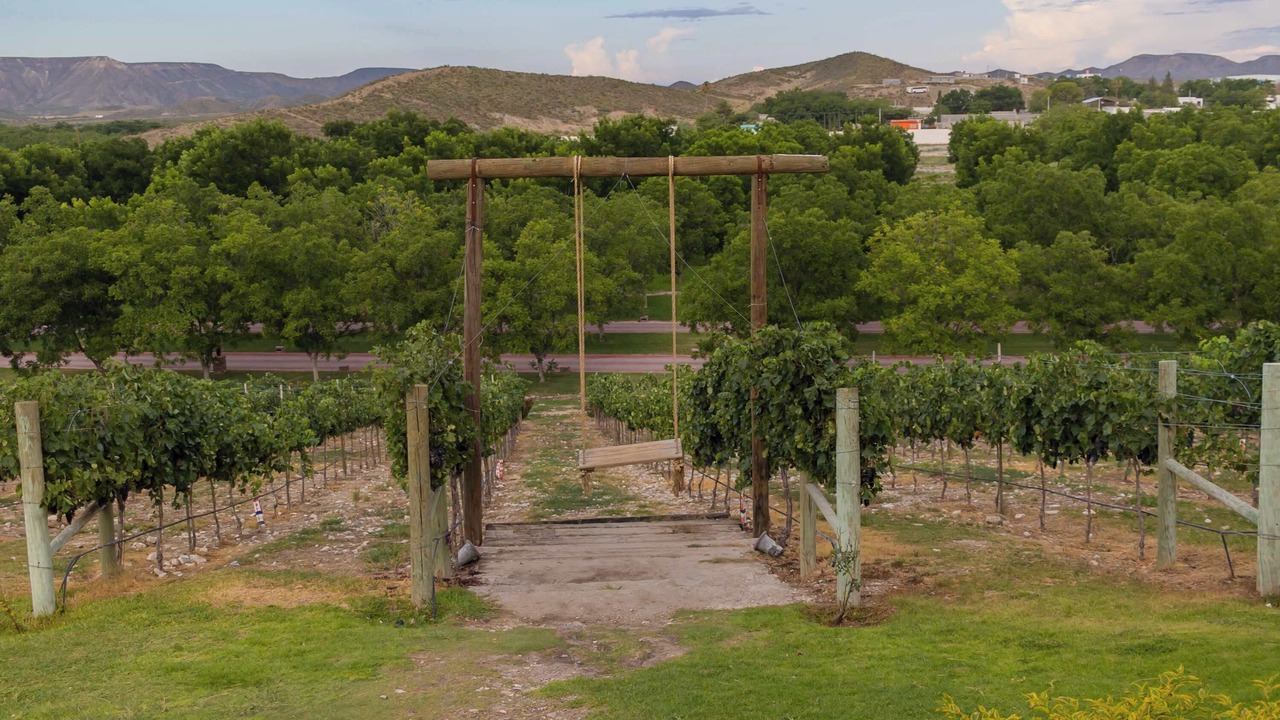 Photo of Others in Parras de la Fuente