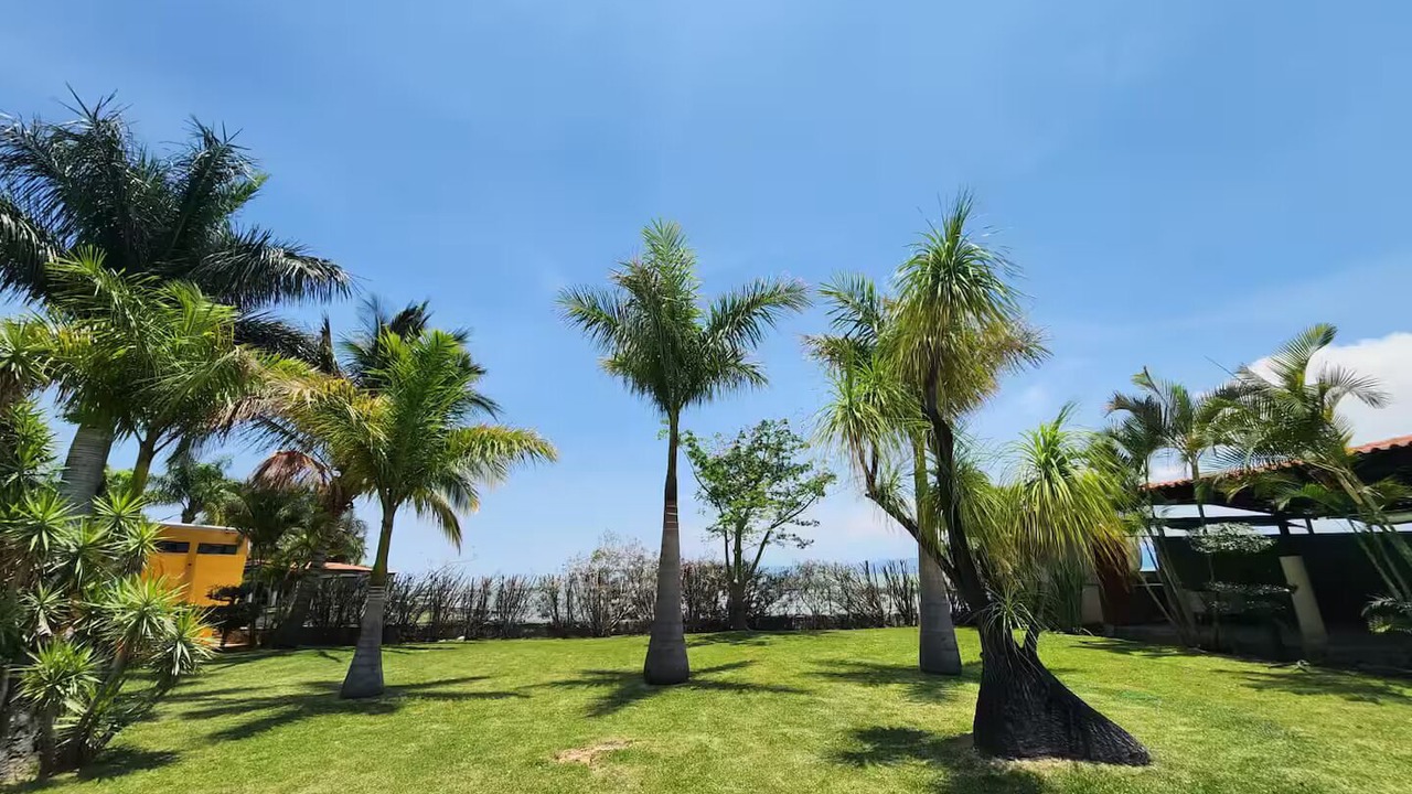 Photo of Outdoor in Riberas del Pilar