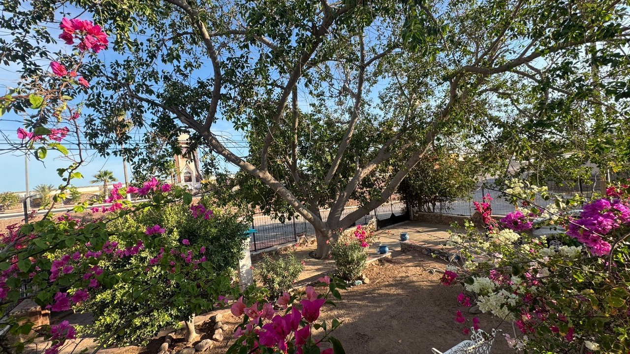 Photo of Outdoor in San Carlos