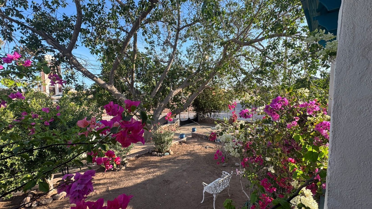 Photo of Outdoor in San Carlos