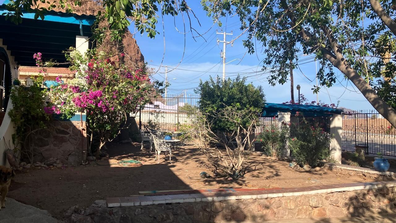 Photo of Outdoor in San Carlos