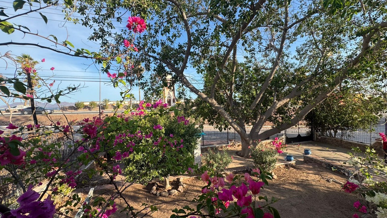Photo of Outdoor in San Carlos