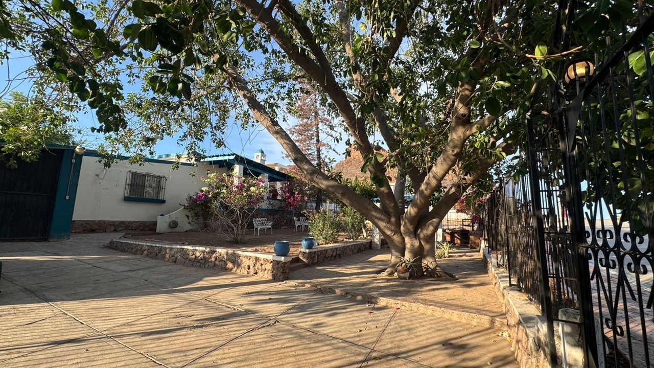 Photo of Outdoor in San Carlos
