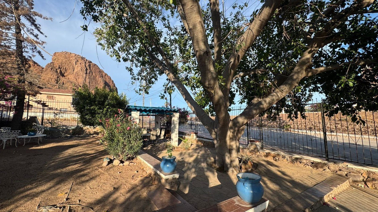Photo of Outdoor in San Carlos