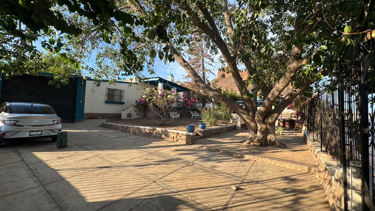 Photo of Outdoor in San Carlos