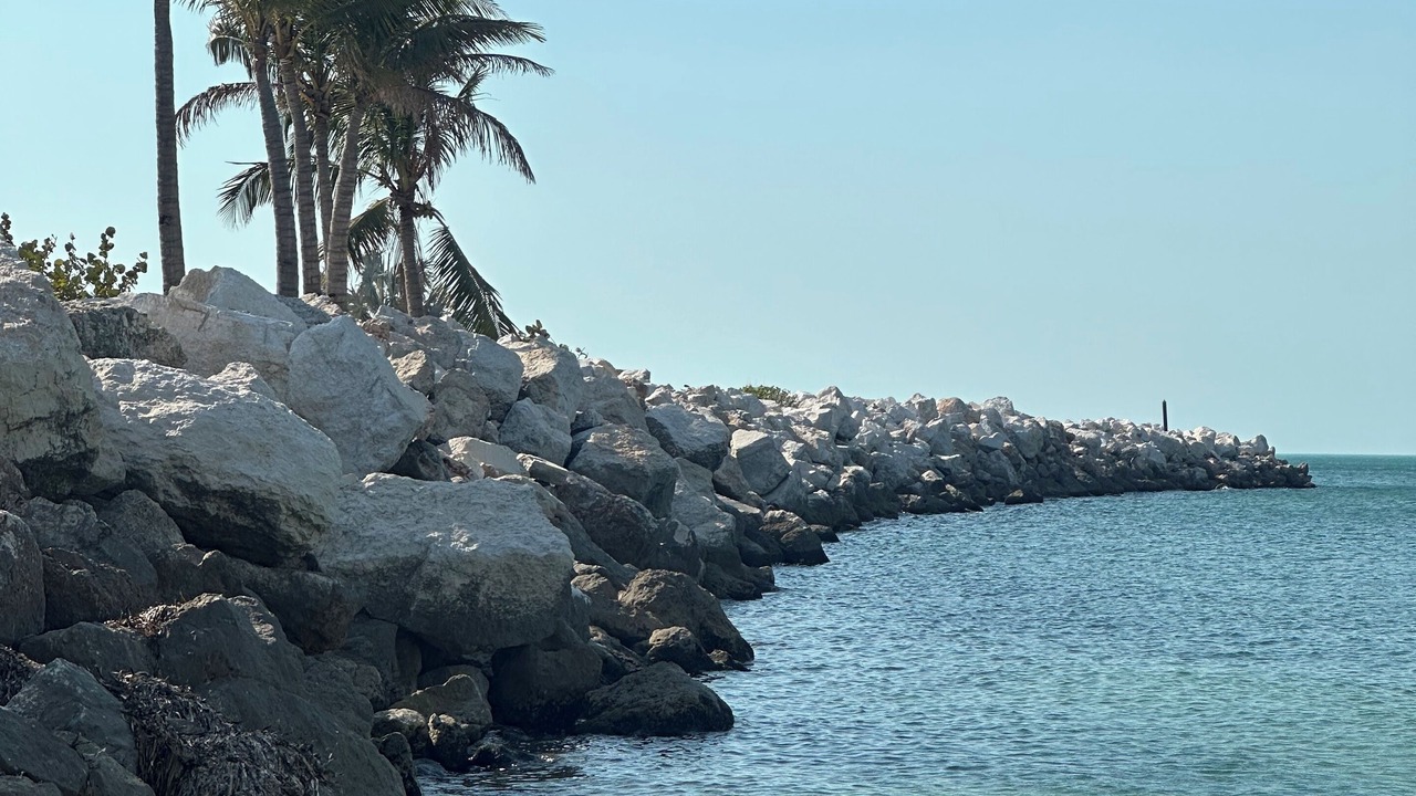 Photo of Others in Campeche