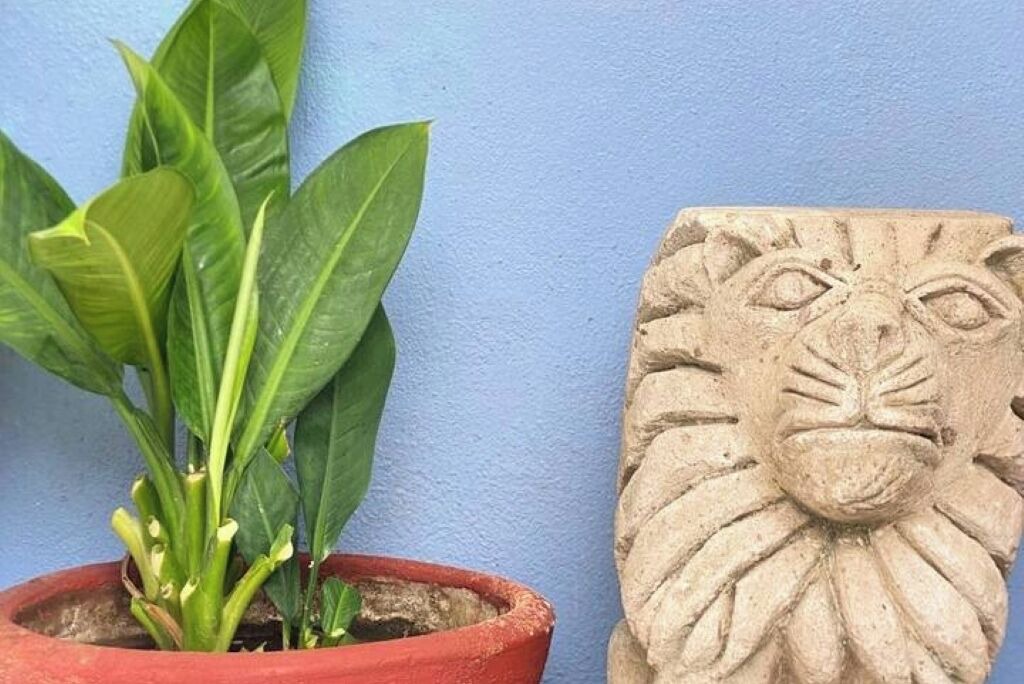 Photo of Outdoor in Ixtapa