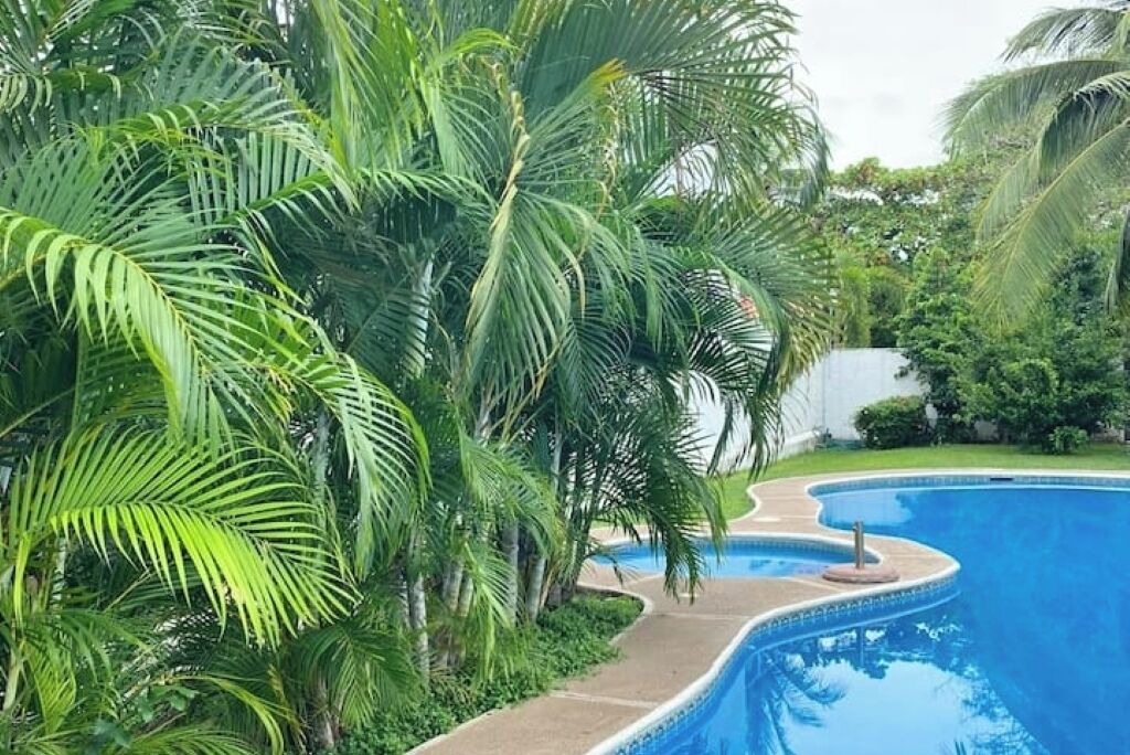 Photo of Outdoor in Ixtapa