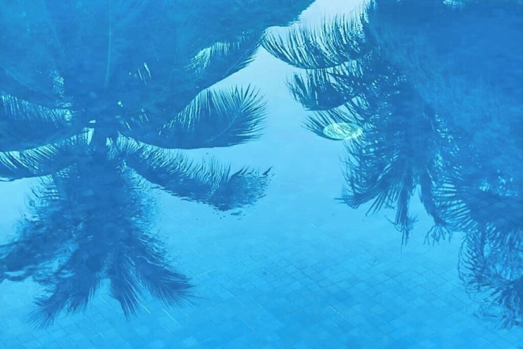 Photo of Outdoor in Ixtapa
