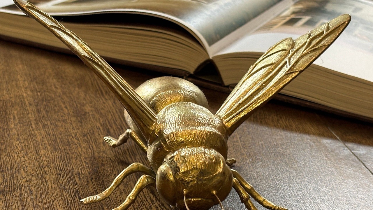 Photo of Others in Santeagueda