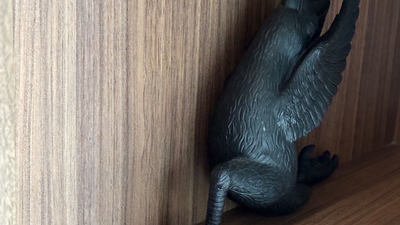 Photo of Others in Santeagueda