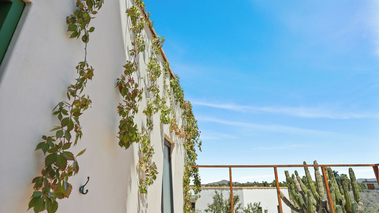 Photo of Outdoor in El Pescadero