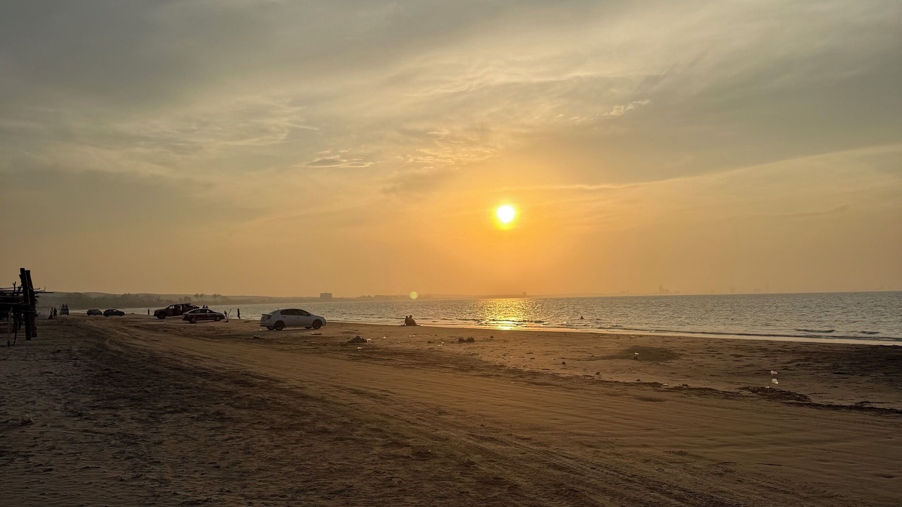 Photo of Others in Anton Lizardo