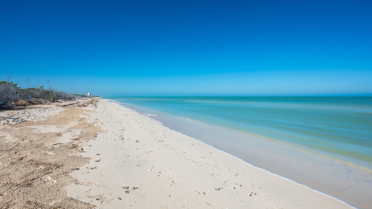 Photo of Others in Miramar