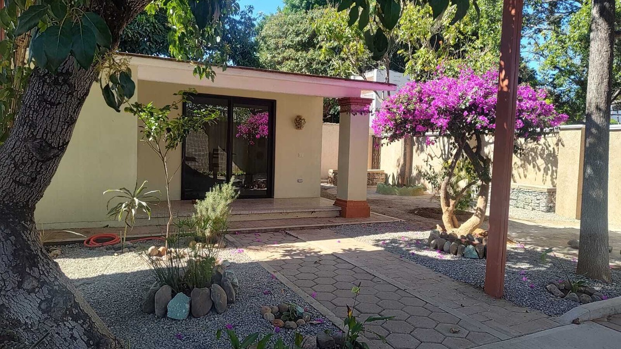 Photo of Outdoor in Oaxaca