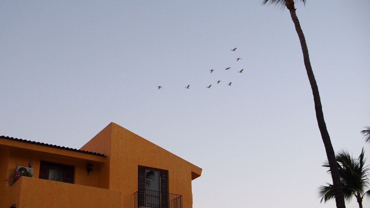 Photo of Outdoor in Club Santiago
