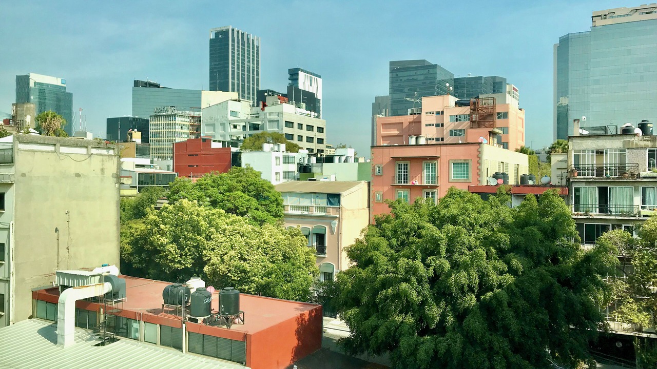 Photo of Others in Reforma
