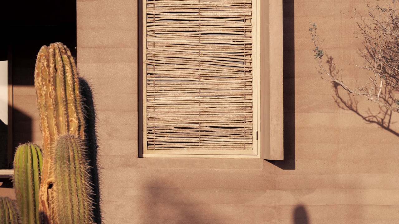 Photo of Outdoor in Todos Santos