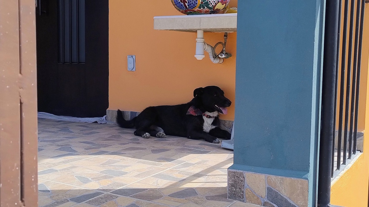 Photo of Outdoor in San Agustin de las Juntas