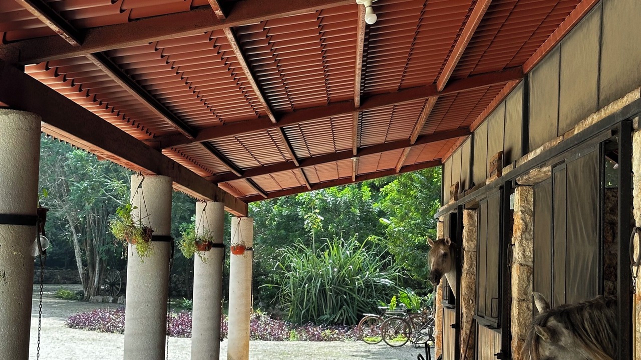 Photo of Outdoor in Chichen Itza - Valladolid