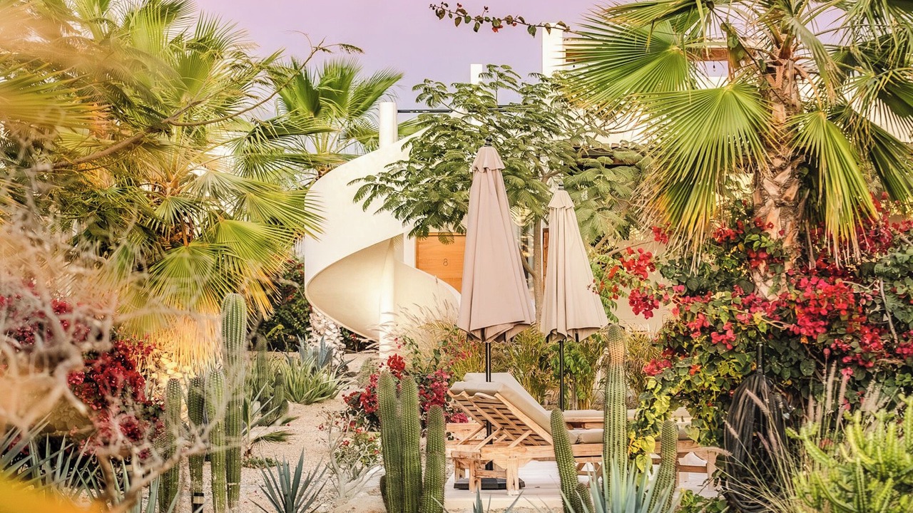 Photo of Outdoor in El Pescadero