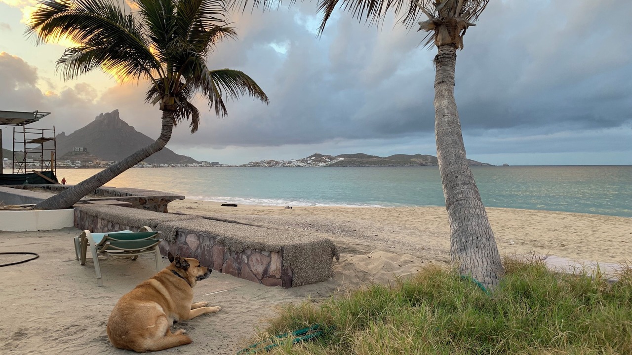 Photo of Others in Costa Del Mar