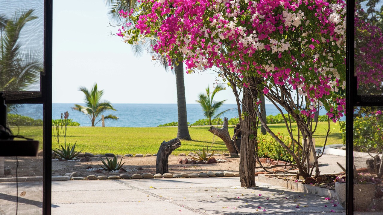 Photo of Outdoor in Barra de Potosi