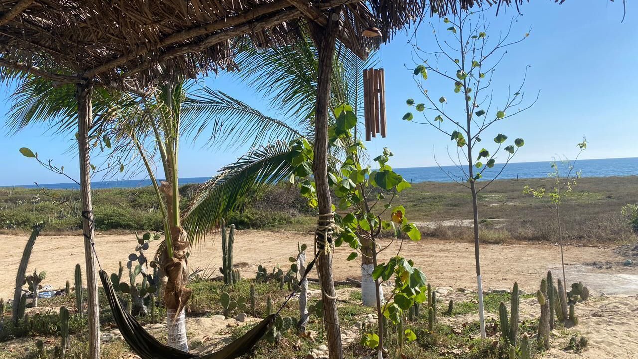 Photo of Others in Puerto Escondido