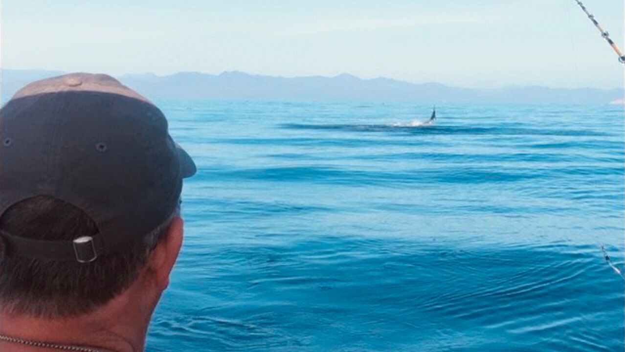 Photo of Others in Mulege