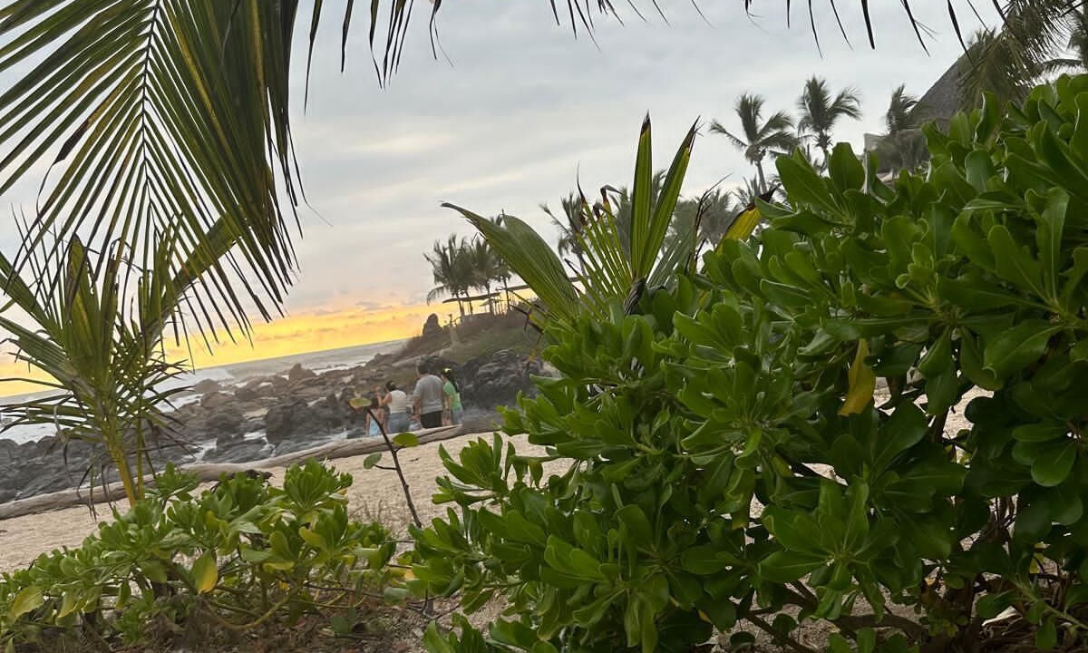 Photo of Others in Troncones