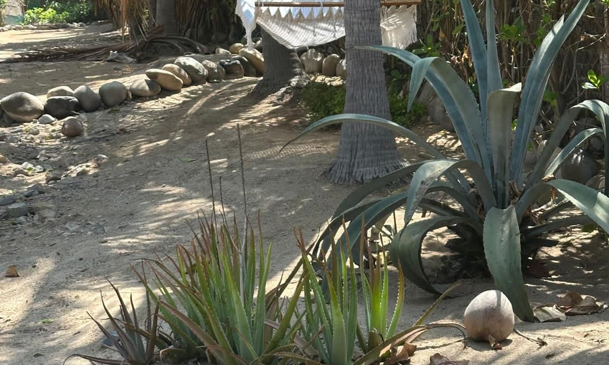 Photo of Outdoor in Troncones