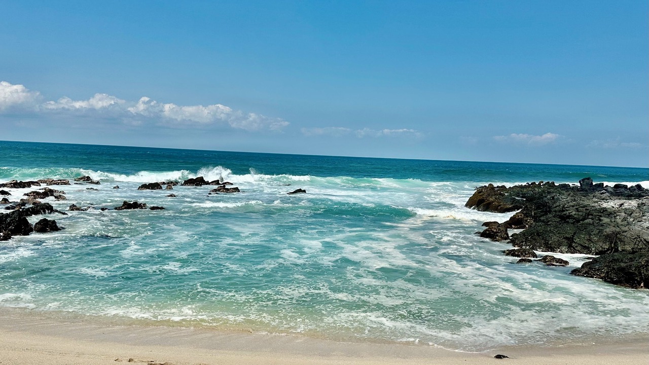 Photo of Others in Troncones