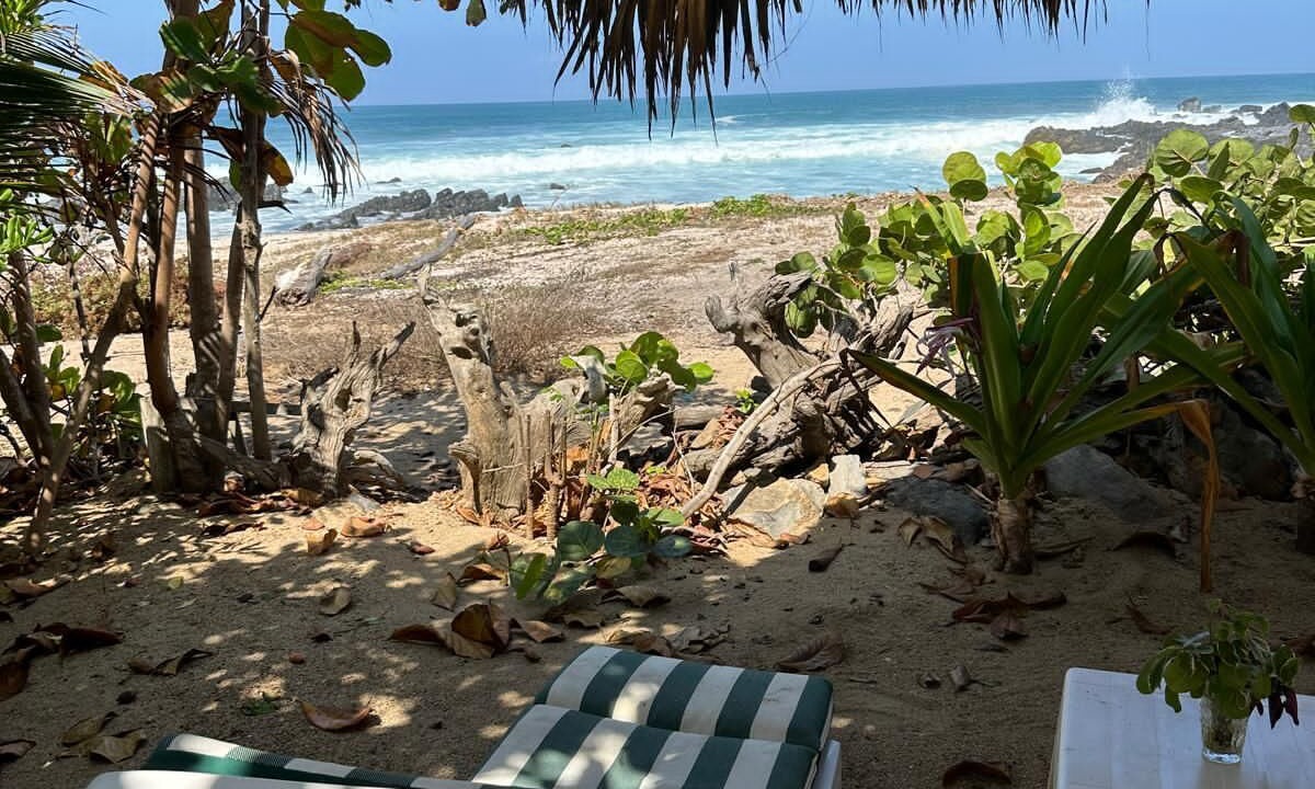 Photo of Others in Troncones