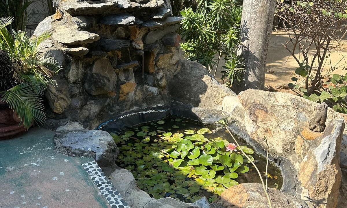Photo of Outdoor in Troncones