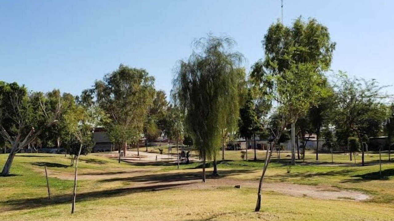 Photo of Others in Mexicali